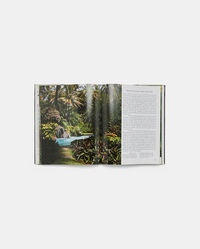 The Tropical Garden