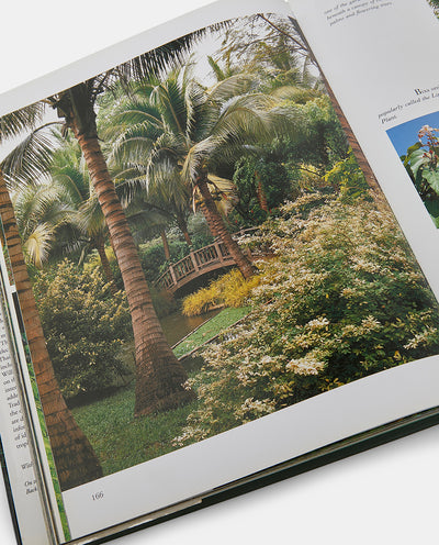 The Tropical Garden