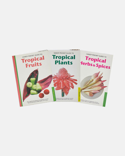 TROPICAL BUNDLE: FRUITS, HERBS & SPICES, PLANTS