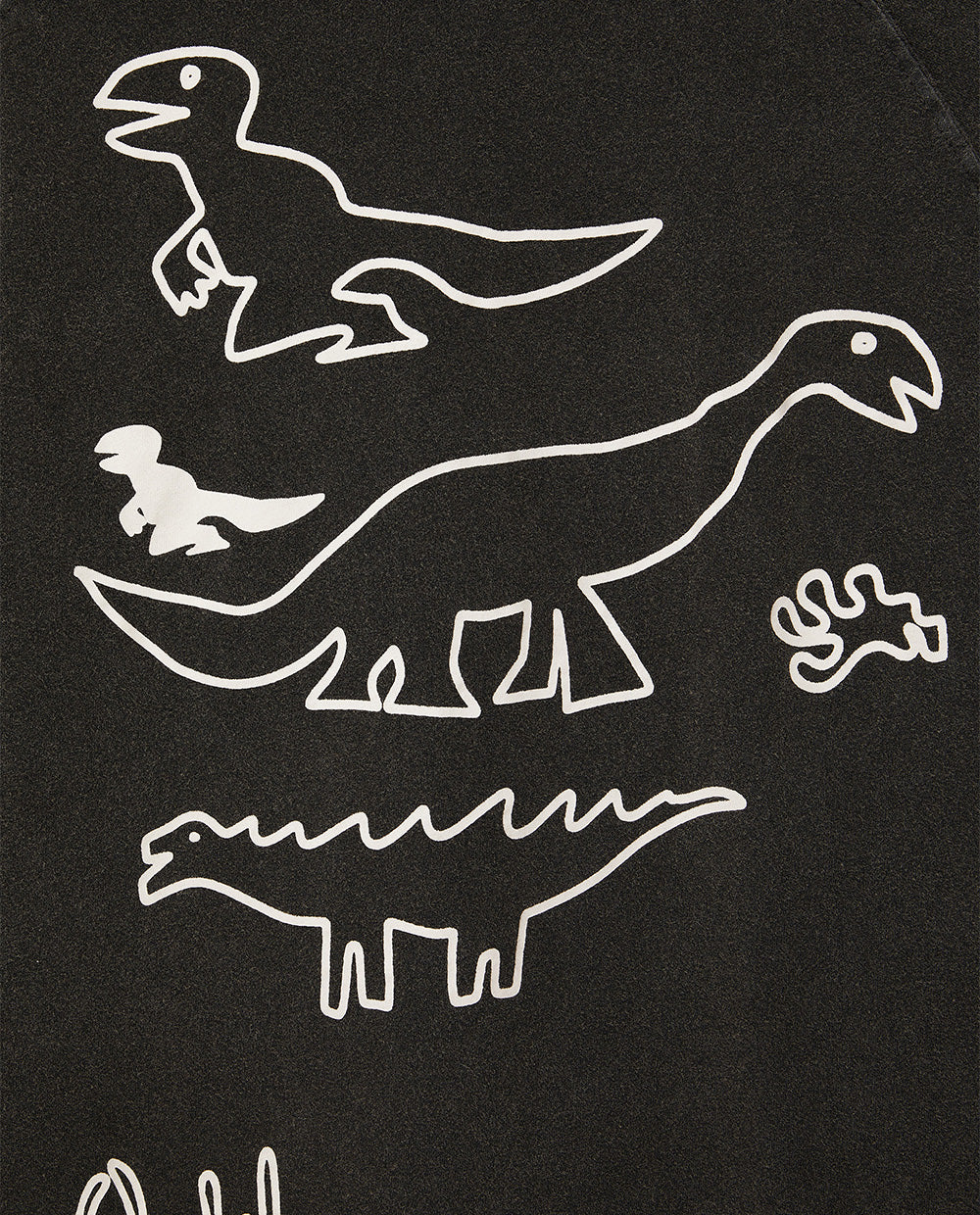 DINOSAUR ACID LONG SLEEVE