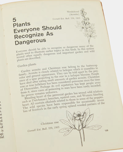Deadly Harvest: A Guide to Common Poisonous Plants