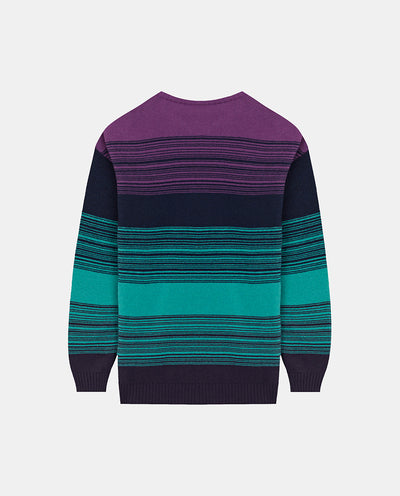 PURPLE STRIPED MEN JUMPER