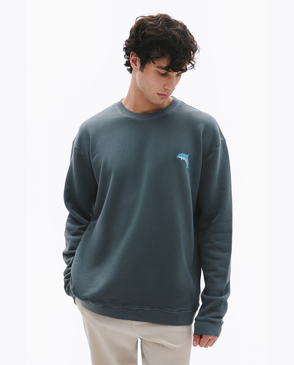 Dolphin Sweatshirt